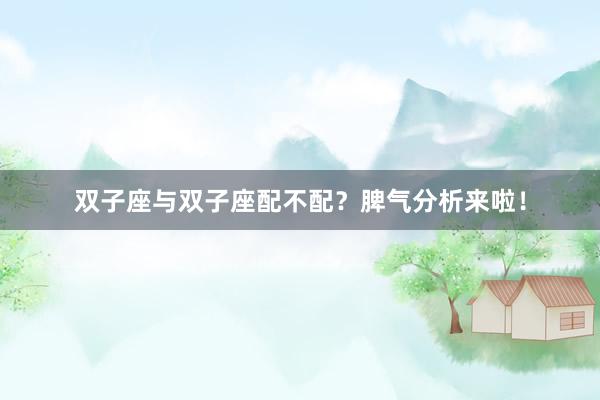 双子座与双子座配不配？脾气分析来啦！